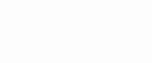 LOGO WHITE