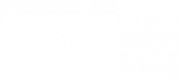 LOGO WHITE