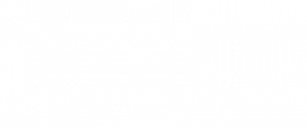 LOGO WHITE